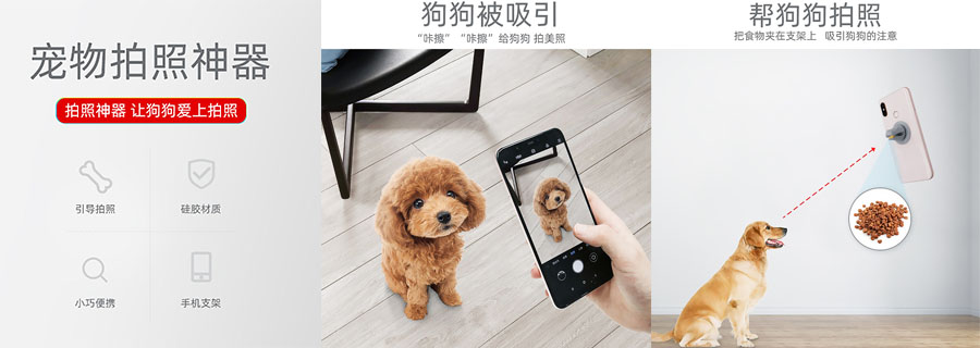 用狗头支架给狗狗拍照