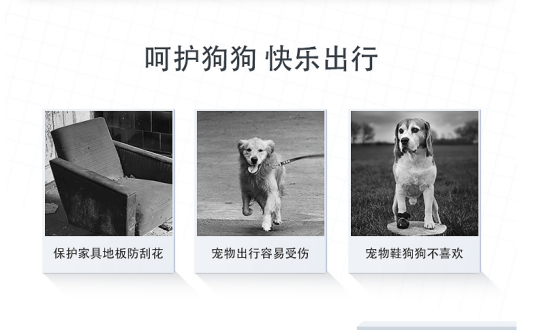 呵护狗狗的爪贴